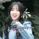 개울가에 올챙이 한마리 > 연예인포럼 | 딜바다닷컴 딜바다::개울가에 올챙이 한마리 > 연예인포럼