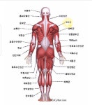 몇달만에 연습장을 다녀왔습니다. > 골프포럼 | 딜바다닷컴 딜바다::몇달만에 연습장을 다녀왔습니다. > 골프포럼