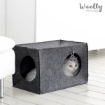 베이직캣하우스