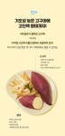 건강한입 해남 고구마츄 황태 2팩 - NS홈쇼핑