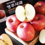 하프클럽 - 대한민국 메가쇼핑 [경북영주] 사과 선물세트 5kg(16과내/가방포함)