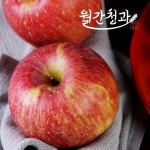 월간청과 경북 세척사과 3kg | 홈쇼핑모아 월간청과 경북 세척사과 3kg - 홈쇼핑모아~가장 정확한 방송 편성표