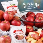 월간청과 경북 세척사과 10kg | 홈쇼핑모아 월간청과 경북 세척사과 10kg - 홈쇼핑모아~가장 정확한 방송 편성표