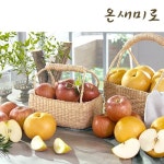 온새미로 햇 사과4kg+배 5kg 총9kg | 홈쇼핑모아 온새미로 햇 사과4kg+배 5kg 총9kg - 홈쇼핑모아~가장 정확한 방송 편성표