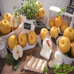 월간청과 천안성환배 4kg [5-7과] | 홈쇼핑모아 월간청과 천안성환배 4kg [5-7과] - 홈쇼핑모아~가장 정확한 방송 편성표