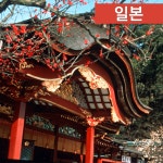[단풍 시즌에 떠나는 힐링 온천 여행] 큐슈 3일 | 홈쇼핑모아 [단풍 시즌에 떠나는 힐링 온천 여행] 큐슈 3일 - 홈쇼핑모아~가장 정확한 방송 편성표