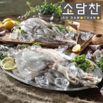 소담찬 자연산 손질오징어 240g x 10팩 (120g x 20미 총 2.4kg)  | 홈쇼핑모아 [현대홈쇼핑플러스샵] 소담찬 자연산 손질오징어 240g... 