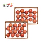 [청송_당도선별/大사이즈] 하이크린 청송 실속 사과 4kg(11~16과... [청송_당도선별/大사이즈] 하이크린 청송 실속 사과 4kg(11~16과... 