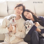 롯데손보 더끌림 플러스 건강보험 | 홈쇼핑모아 [롯데OneTV] 롯데손보 더끌림 플러스 건강보험