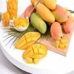 [카드 5%할인]항공직송 마하차녹 햇 생망고 4kg내외(8-12과) | 홈쇼핑모아 [신세계TV쇼핑] [카드 5%할인]항공직송 마하차녹 햇 생망고... 