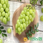 당도선별 김천 샤인머스캣 2kg | 홈쇼핑모아 [CJ온스타일+] 당도선별 김천 샤인머스캣 2kg