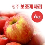 [lotteimall] 풍기농협 영주 보조개 사과 3kg x 2박스, 총6kg (박스당 10-14과) 12126737 | 홈쇼핑모아 [lotteimall] 풍기농협 영주... 