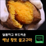 슈퍼농부 해남 꿀고구마 5kg x 2박스 (총 10kg) | 홈쇼핑모아 [롯데OneTV] 슈퍼농부 해남 꿀고구마 5kg x 2박스 (총 10kg)