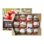 [삼성5%할인][맛보장]경북 세척사과 2.5kg x 2박스(박스당11-14과)(2,6분) | 홈쇼핑모아 [신세계TV쇼핑] [삼성5%할인][맛보장]경북... 
