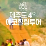 제주도 에코힐링투어 3박 4일(219,000원~) | 홈쇼핑모아 [쇼핑엔티] 제주도 에코힐링투어 3박 4일(219,000원~)