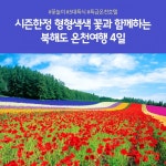 풍경 북해도 4일 12485991 | 홈쇼핑모아 [kshop] [노랑풍선] 여행하기 좋은 계절 꽃밭 가득 수채화 풍경 북해도 4일 12485991