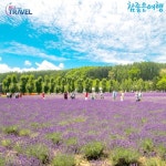 [lotteimall] [상담예약] 참좋은여행 북해도 4일 패키지 null | 홈쇼핑모아 [lotteimall] [상담예약] 참좋은여행 북해도 4일 패키지 null