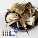 섬마을 절단꽃게 900g 4팩 (총 3.6kg / 국내산 / 자연산) | 홈쇼핑모아 [현대홈쇼핑] 섬마을 절단꽃게 900g 4팩 (총 3.6kg / 국내산 / 자연산)