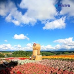 [ssgshop] [여행의신세계]한진관광 북해도 3박4일 799천원부터... [ssgshop] [여행의신세계]한진관광 북해도 3박4일 799천원부터 12658834