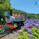 [ssgshop] [미로투어]프리미엄 제주 3박4일 색다른 제주도 일정... 12681237 | 홈쇼핑모아 [ssgshop] [미로투어]프리미엄 제주 3박4일... 