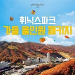 뷔페+워터파크+루지+사우나 등 포함) null | 홈쇼핑모아 [hmall] [2인 패키지] 휘닉스파크 올인원 (스카이 객실+호텔 뷔페+워터파크+루지... 