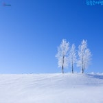 [lotteimall] [상담예약] 참좋은여행 북해도 4일 패키지 13063417 | 홈쇼핑모아 [lotteimall] [상담예약] 참좋은여행 북해도 4일... 