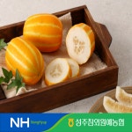 [hnsmall] [25년 수확] 성주참외원예농협 꿀참외 5kg (11~15수, 개당 330~500g) 13346679 | 홈쇼핑모아 [hnsmall] [25년 수확]... 