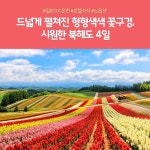 [cjmall] [노랑풍선] 북해도 4일 #온천호텔 2박 + 시내호텔 1박... [cjmall] [노랑풍선] 북해도 4일 #온천호텔 2박 + 시내호텔 1박 13375636