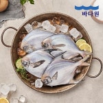 [hnsmall] [생선명가] 국내산 은병어 300g x 10팩 (팩당 2미)... [hnsmall] [생선명가] 국내산 은병어 300g x 10팩 (팩당 2미) 13381725