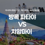 방콕파타야 5일 VS 치앙마이 5일 null | 홈쇼핑모아 [bshop]... 선택해도 NO옵션 + NO기사가이드경비 방콕파타야 5일 VS 치앙마이 5일 null
