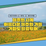 [hmall] [부민가자투어] 제주도+가파도 가을 패키지 3박 4일 13705234 | 홈쇼핑모아 [hmall] [부민가자투어] 제주도+가파도 가을 패키지... 