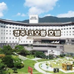 [hmall] [1박 4인] 경주 코오롱호텔 벚꽃 마중 패키지 14018514 | 홈쇼핑모아 [hmall] [1박 4인] 경주 코오롱호텔 벚꽃 마중 패키지 14018514