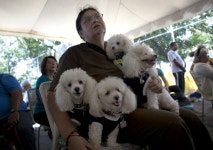 The Food Crisis In Venezuela Has Taken A Turn For The Worse