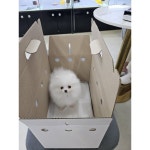 펫샵분들은 진짜 부끄러운게 없나봄 - 인스티즈(instiz) 이슈 카테고리 펫샵분들은 진짜 부끄러운게 없나봄