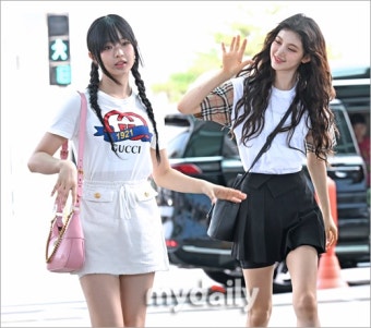 마이데일리