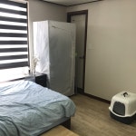 피터팬의 좋은방 구하기 신논현역(9호선), 논현역(7호선) 도보 10분거리!!