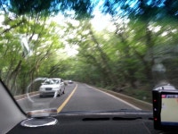 제주도 한라산 516도로 숲길터널. - 뽐뿌:자동차포럼 제주도 한라산 516도로 숲길터널.