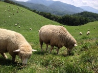 뽐뿌:자유갤러리 - 혼자 떠난 내일로    7.30-8.4(아이폰사진) 혼자 떠난 내일로    7.30-8.4(아이폰사진)