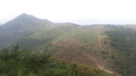 부산 가야(돌)산, 수정산, 엄광산, 구덕산, 시약산 산행기 - 뽐뿌:등산포럼 부산 가야(돌)산, 수정산, 엄광산, 구덕산, 시약산 산행기