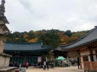 뽐뿌:등산포럼 - [가지산] 가지산 원점회귀 산행...석남사 단풍에 반하다. [가지산] 가지산 원점회귀 산행...석남사 단풍에 반하다.