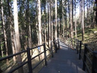 서대문구 안산 자락길 완공 눈앞 이번주 개통 - 뽐뿌:등산포럼 서대문구 안산 자락길 완공 눈앞 이번주 개통