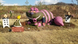 뽐뿌:캠핑포럼 - 11월 16~17일 연천군 임진물 새롬랜드 오토캠핑장 다녀왔습니다.