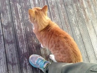 뽐뿌:사용기 - 속초가면 꼭 들려야 할 속초 실로암 메밀국수 !!! 속초가면 꼭 들려야 할 속초 실로암 메밀국수 !!!