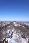 1 계방산, 풍경의 지평선 (운두령~1492봉~계방산 정상~주목삼거리~노동계곡~이승복생가~윗삼거리~아랫삼거리) - 뽐뿌:등산포럼 15. 2. 1 계방산... 