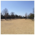 정캠준비 (서원농원) - 뽐뿌:캠핑포럼 정캠준비 (서원농원)