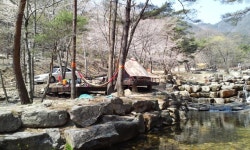 뽐뿌:캠핑포럼 - 오도산 휴양림 왔어요.. 오도산 휴양림 왔어요..