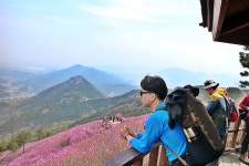 뽐뿌:등산포럼 - [진달래 3대 군락지] 창원 천주산 진달래 산행 [진달래 3대 군락지] 창원 천주산 진달래 산행