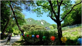 뽐뿌:링크갤러리 - 합천 남산제일봉 (2015.05.24) 청량사~황산저수지~깔딱~남산제일봉~돼지골~돼지골 탐방센터