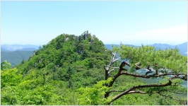 뽐뿌:링크갤러리 - 합천 남산제일봉 (2015.05.24) 청량사~황산저수지~깔딱~남산제일봉~돼지골~돼지골 탐방센터