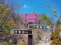 재약산 - 표충사)  다녀 왔습니다. 5/1 영남알프스 (배내고개 - 능동산 - 능동2봉 - 천황산 - 재약산 - 표충사)  다녀 왔습니다.